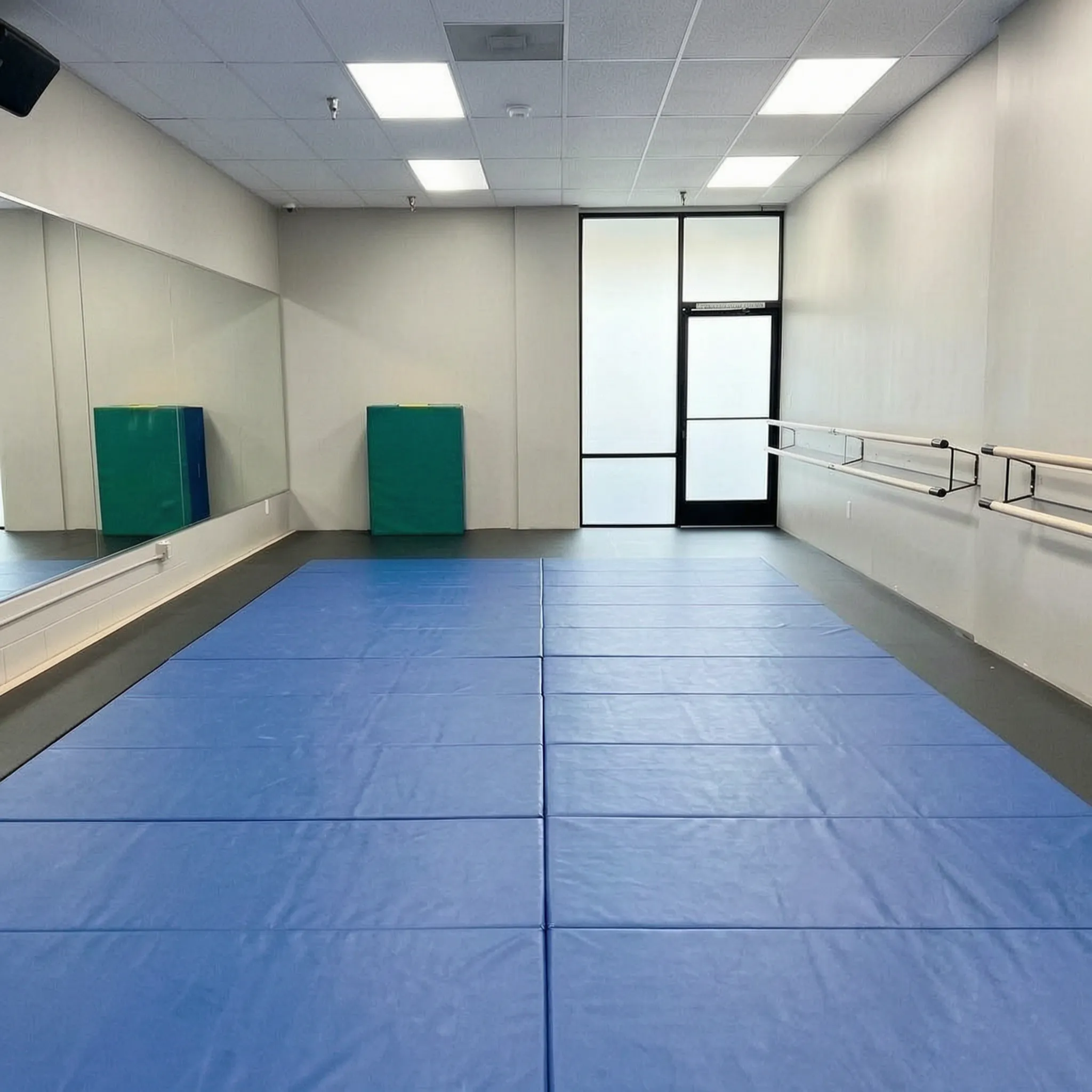 N10 Dance Studio matted multipurpose training room, Orange County