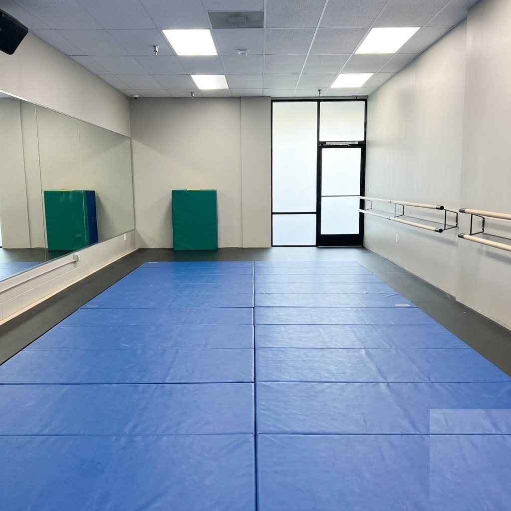 N10 Dance Studio matted multipurpose training room, Orange County
